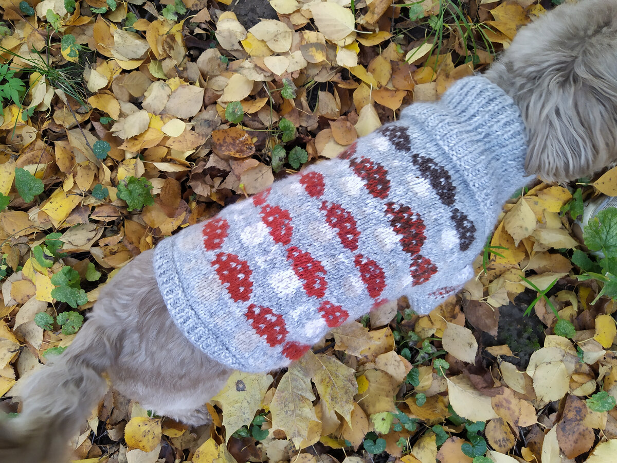 Вид со спины