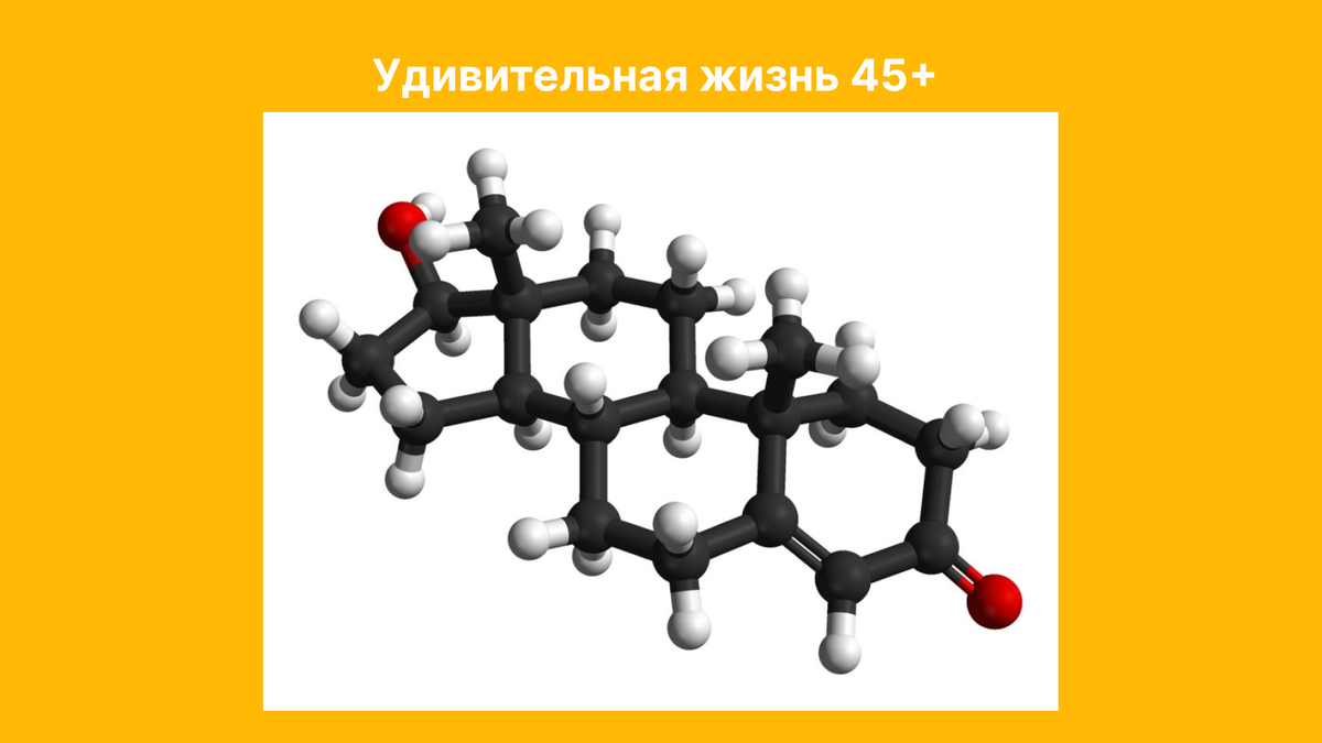 Фотография взята из открытых источников