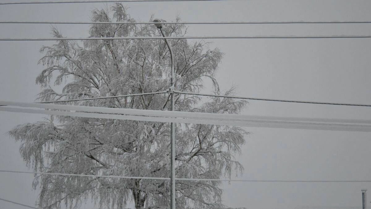     Мокрый снег обрушится на Тюменскую область в субботу, 5 ноября. Осадки в регион принесет циклон. По прогнозам Тюменского ЦГМС – филиал ФГБУ «Обь-Иртышское УГМС», вероятны гололедные явления.
