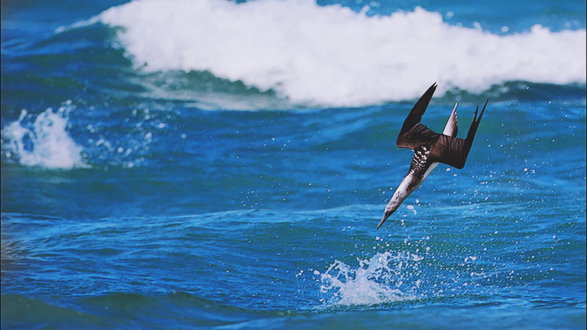 Источник: flickr.com