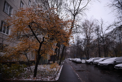    Первый снег ©Мария Шуревская РИАМО