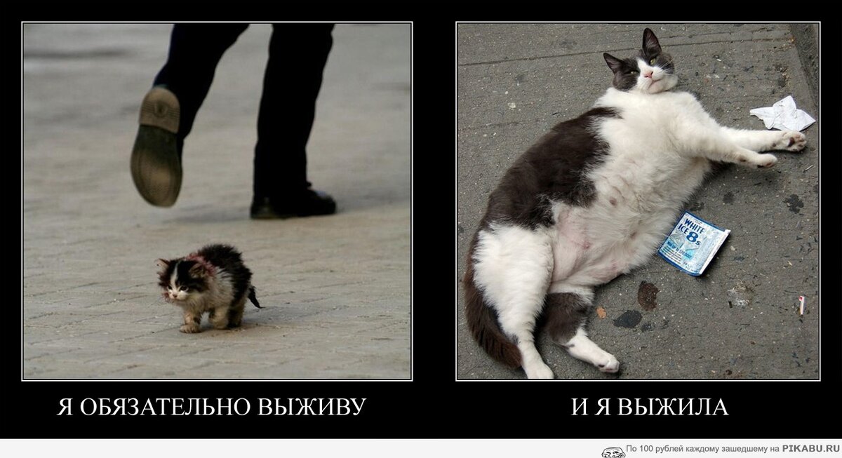 Зациклите, пожалуйста, мы же в России живем
