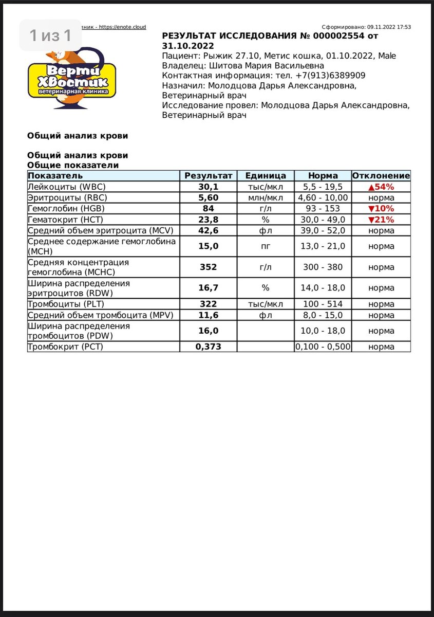 Анализы Чиза