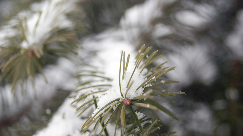   Gettyimages.ru Lelia Valduga