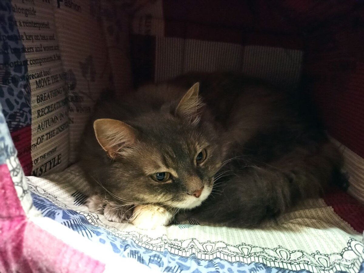 Долгожданное уединение