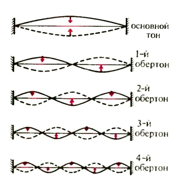 Основной тон. Тон Обертон физика. Гармонический Обертон. Обертоны звука. Основной тон и обертоны физика.