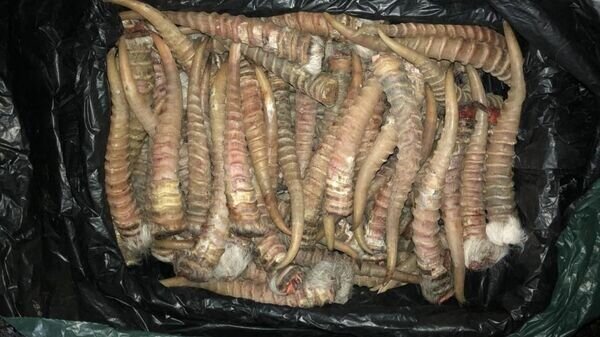   © Photo : пресс-служба ПС КНБ РК