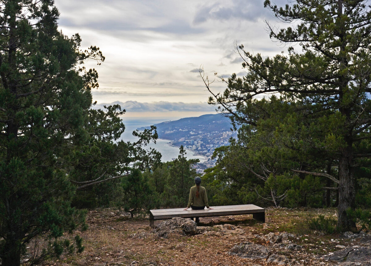 Массандровская тропа // Фото: Юлия Балахтинова / со страницы ФГБУ «Заповедный Крым» в ВКонтакте