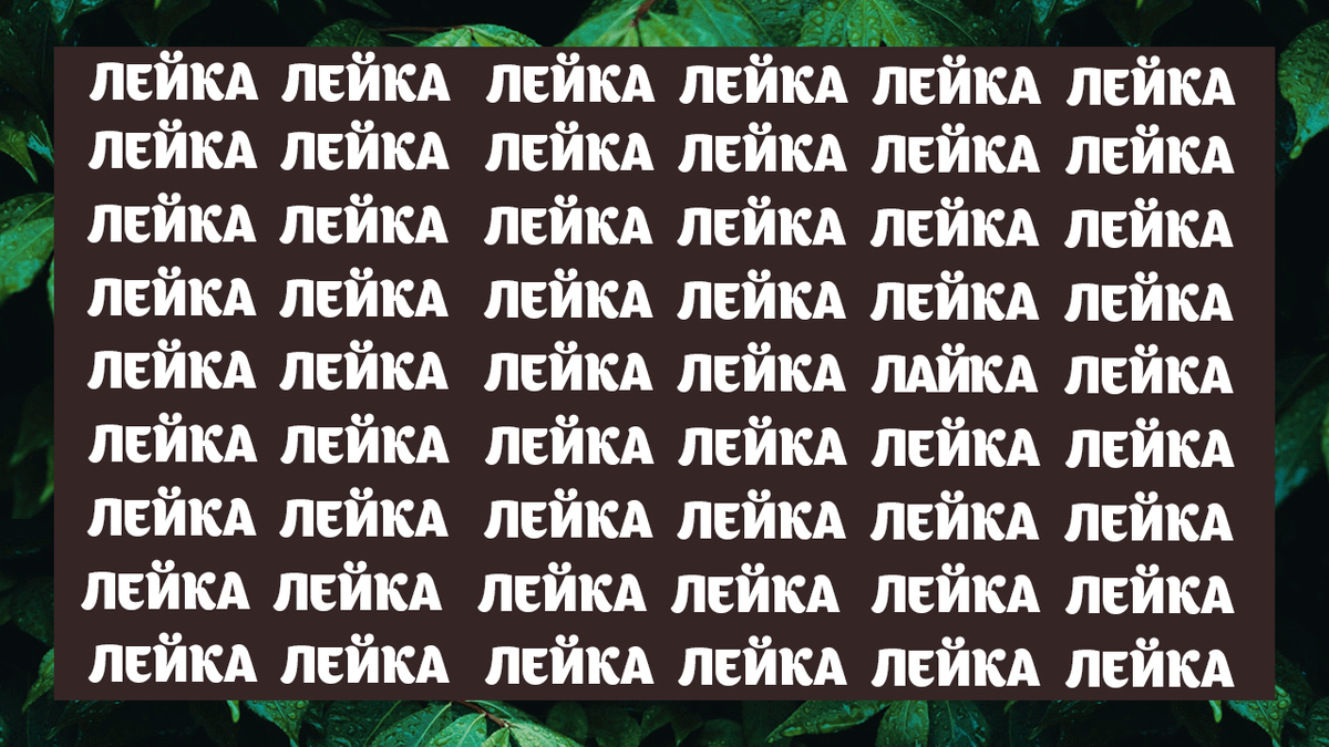 тест "лейка" 