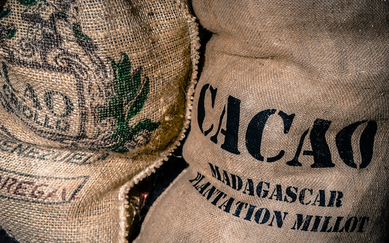 Какао, основной ингредиент шоколада, содержит алкалоиды, которые могут оказать на организм собаки фатальное влияние. Фото Skitterphoto/Pixabay 