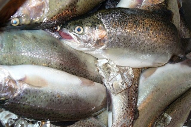 Фото: pixabay.com 