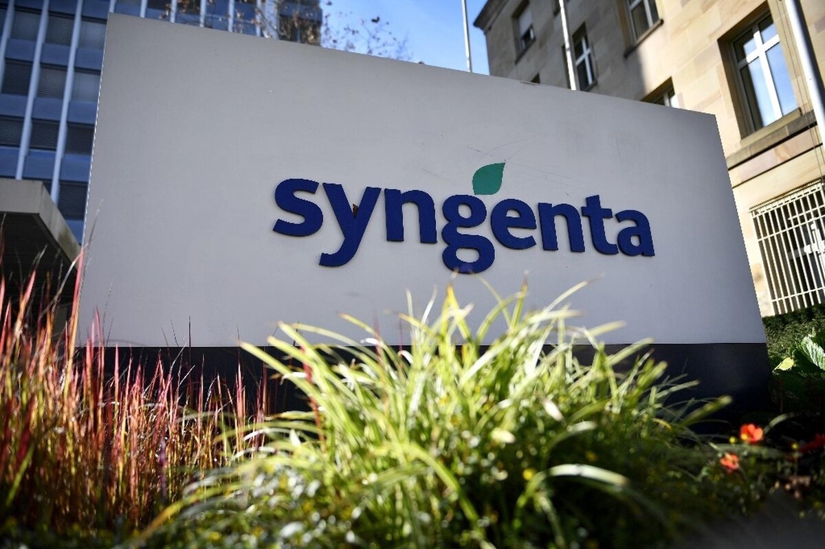 Syngenta. Сингента. Стенд Syngenta. Сингента логотип.