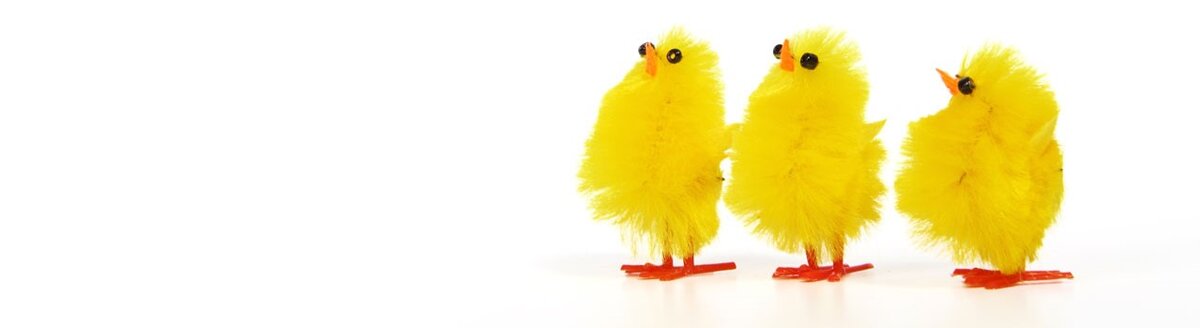 Изображение из Яндекс. Картинки https://yandex.ru/images