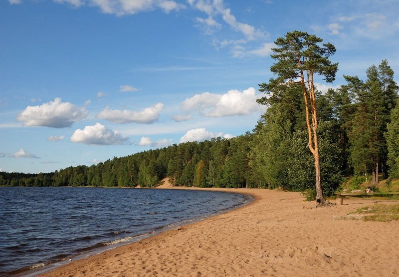 Источник: peterburg2.ru