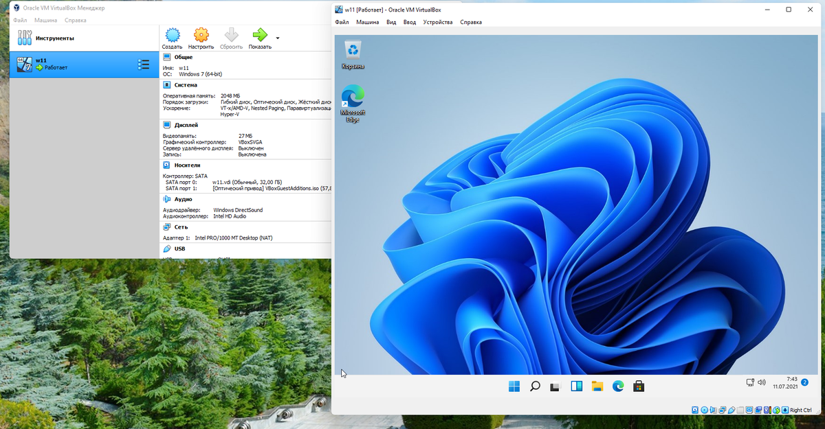 Установил Windoews 11 на виртуалку