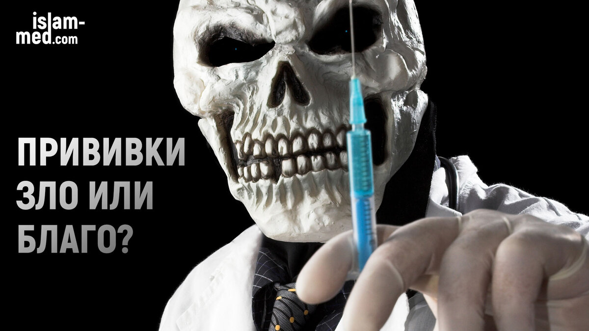 Фото из открытых источников. 