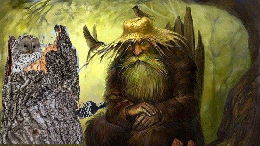 Картинки с лешим