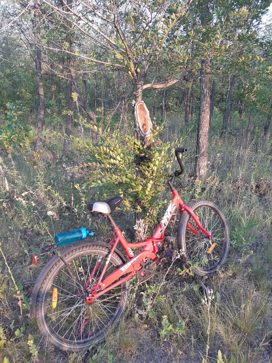 Фото с одной из прогулок