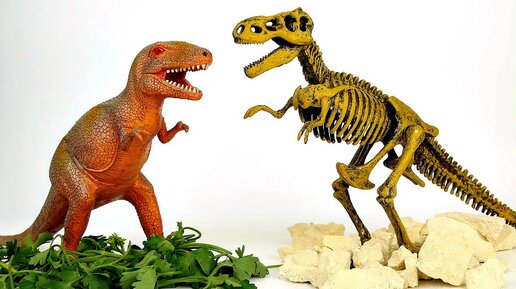 Динозавр T-rex - Играем в археологов. Развивающие видео для деток