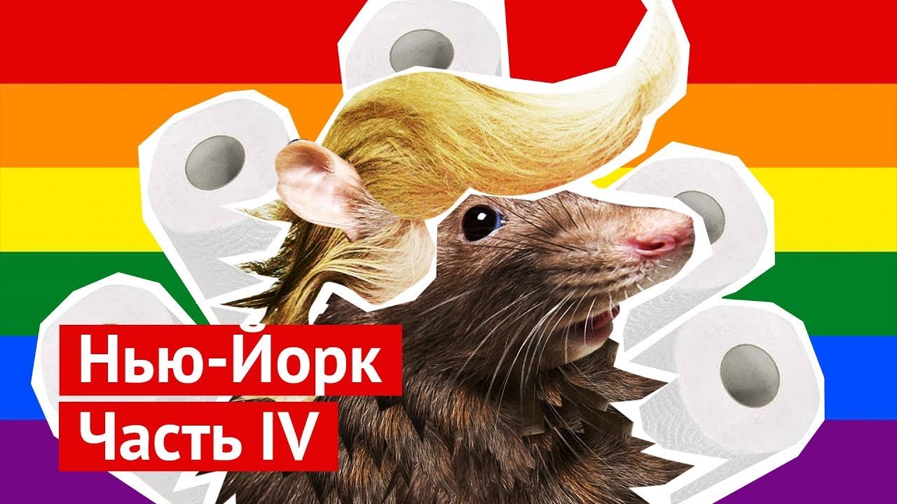 Нью-Йорк: центральный зоопарк, Трамп и чеченские геи | Илья Варламов | Дзен