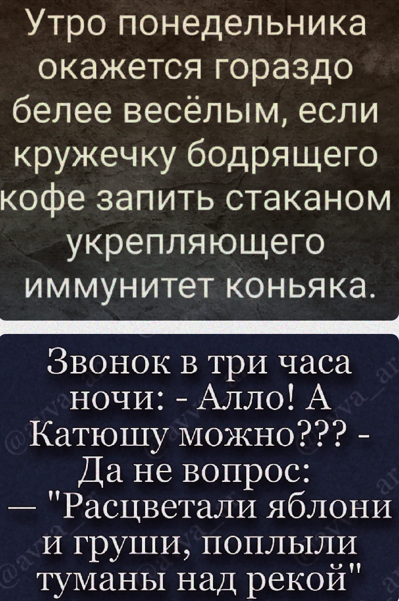 Мои самые любимые и смешные анекдоты, которые могут поднять настроение  любому | Максим Думановский | Дзен