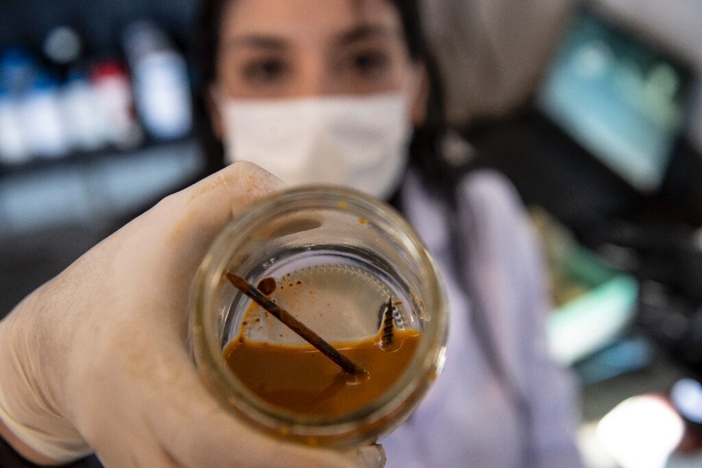 Фото с сайта https://hightech.fm/2021/10/10/metal-bacteria
