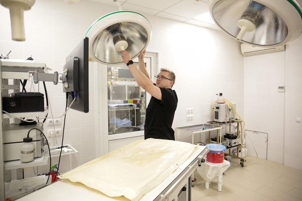 Фото: Ростислав Нетисов, nsknews.info