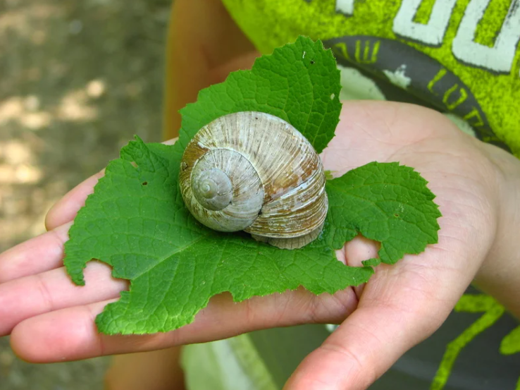 Редактировать галереюДобавьте описание