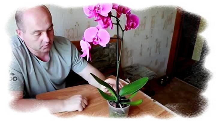 Яндекс картинки