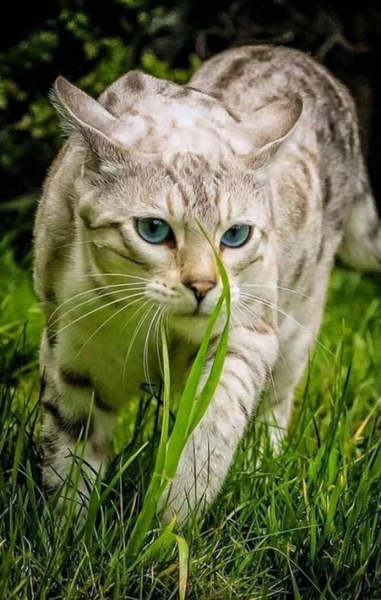 Фото из Яндекс Картинки