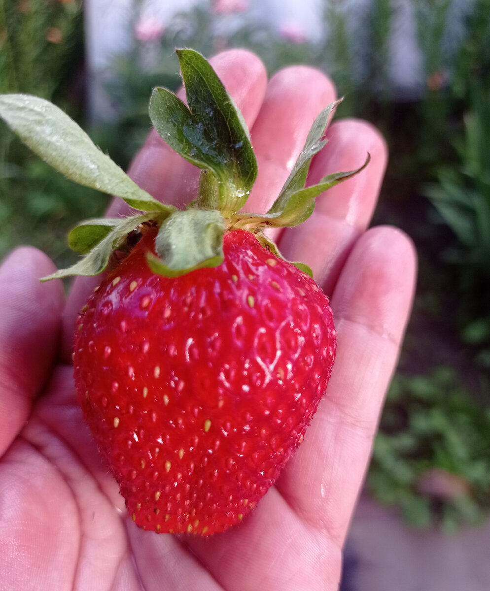 Сочные и вкусные