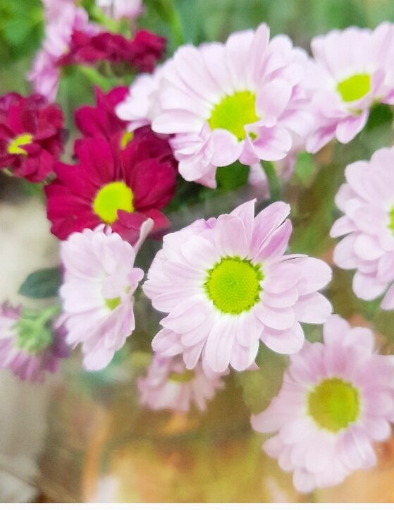 "Доброе утро, мир! Ты прекрасен!" Фото автора