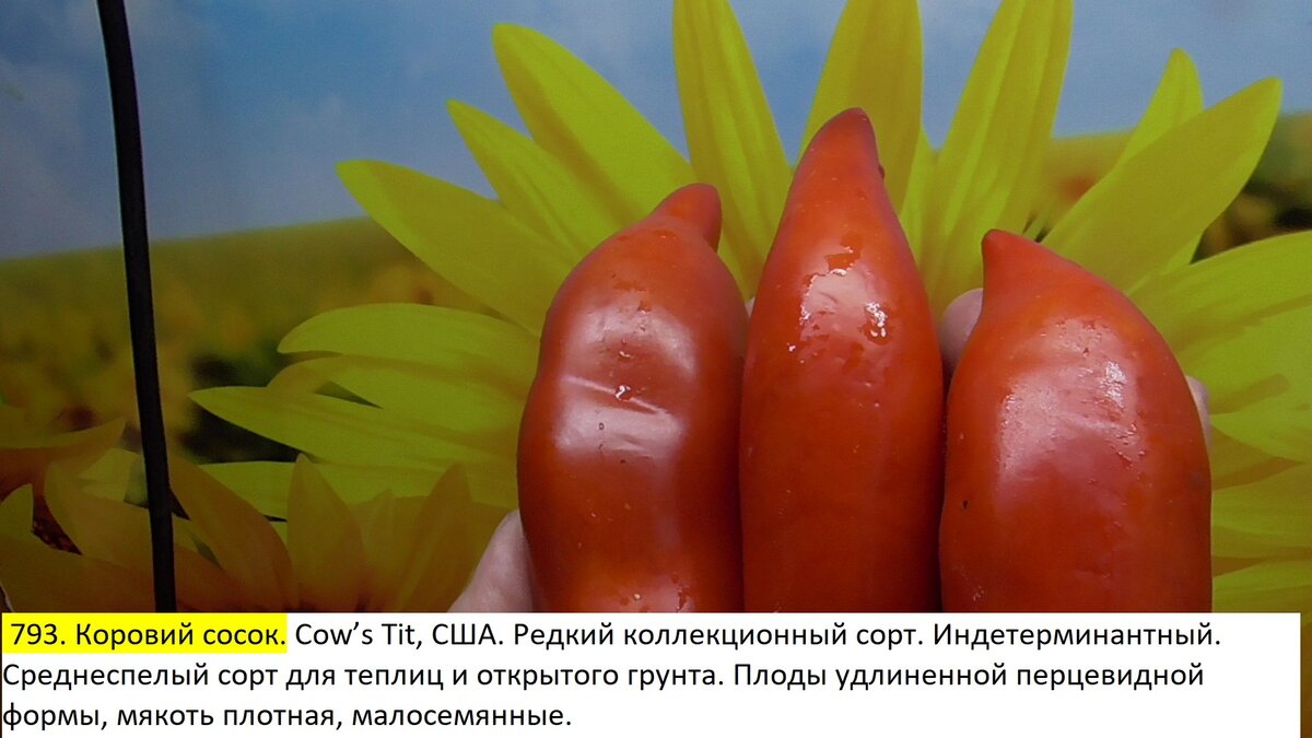 -102