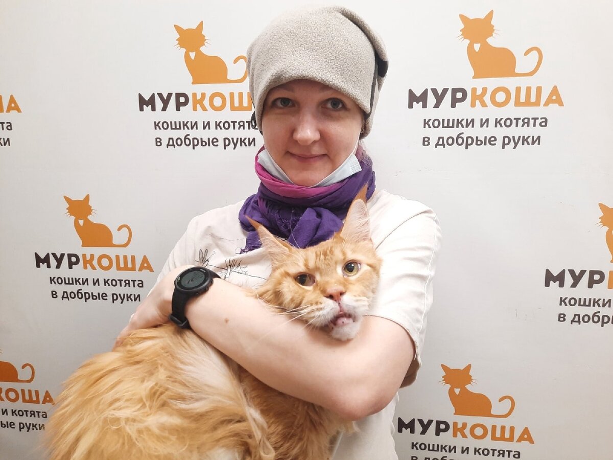 Вперед, в новый дом!