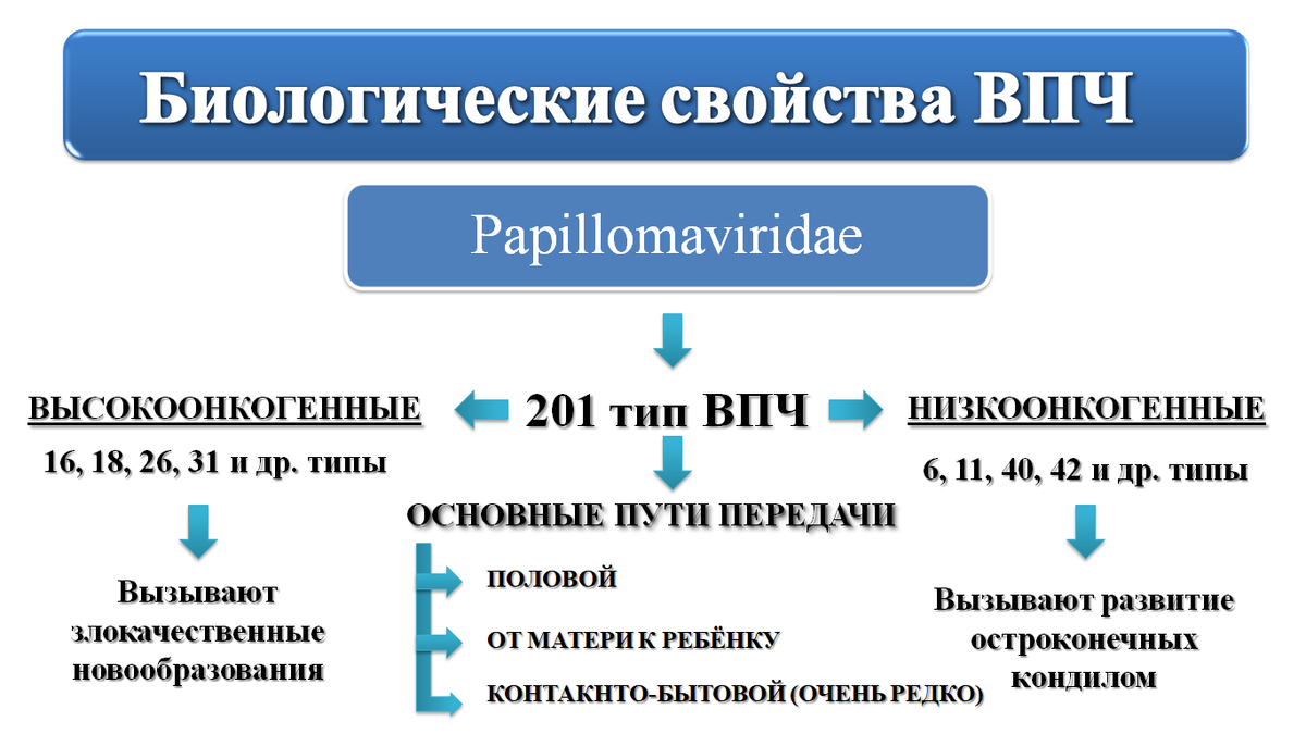 Вирус папилломы человека (ВПЧ)