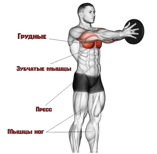 Какие мышцы задействует Жим Свенда?