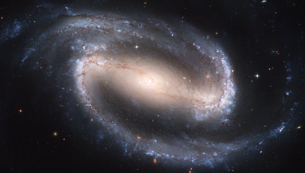 Большая красивая спиральная галактика с перемычкой NGC 1300. Фото: NASA