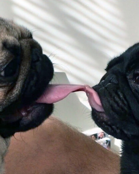 Face-to-face с подписчиками