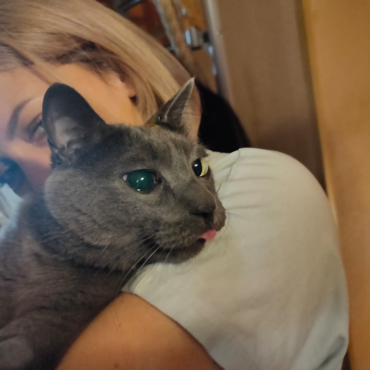 вот такого дурня мы привезли домой