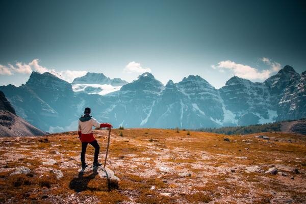 Источник: Pixabay