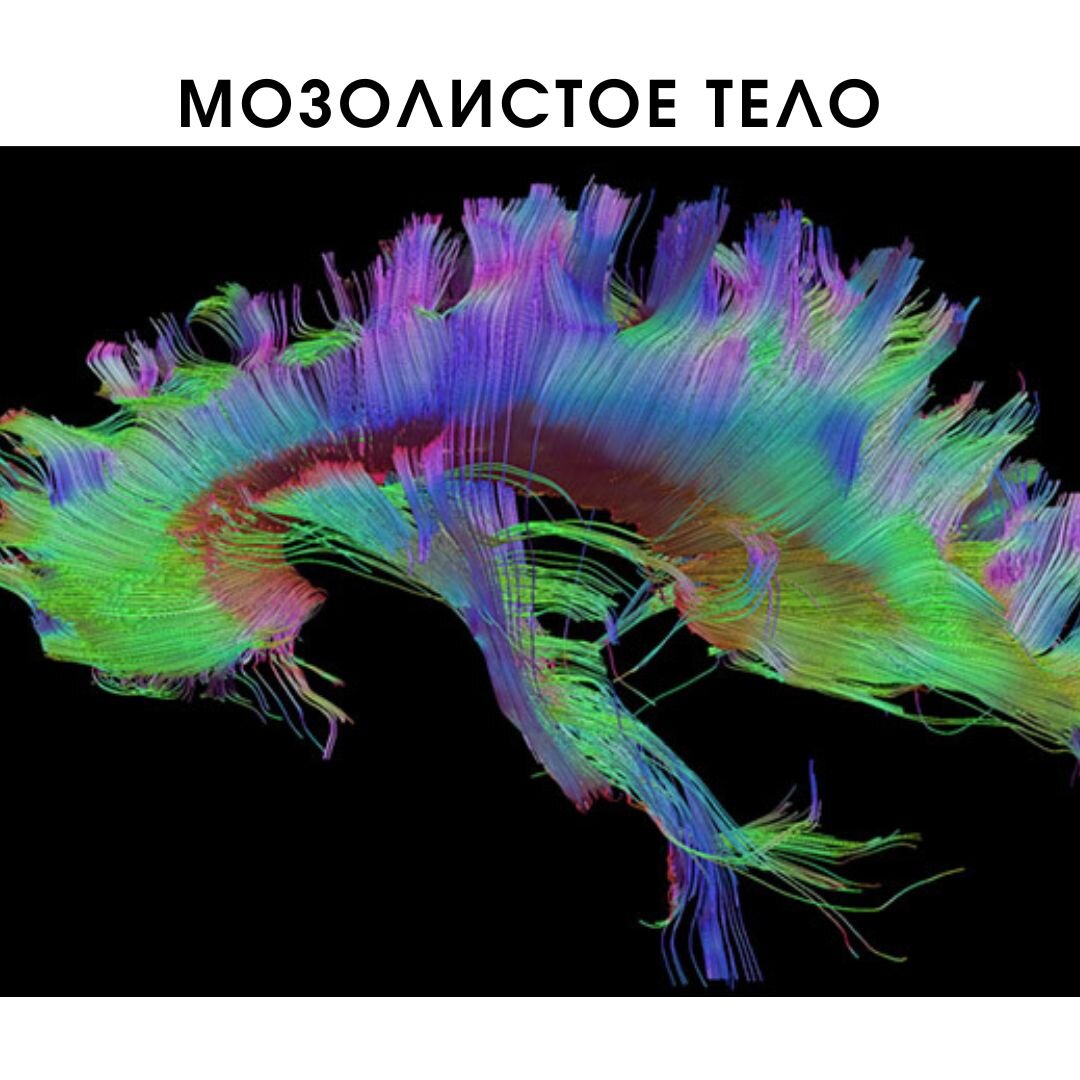 Диффузное пространство