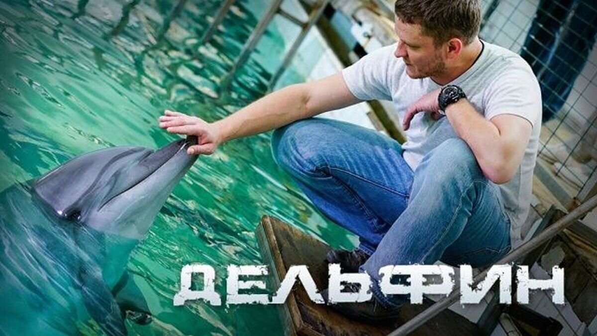  Сериал «Дельфин».Фото Яндекс.Картинки.