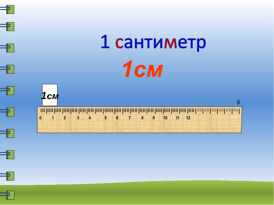 1 дециметр 9 см