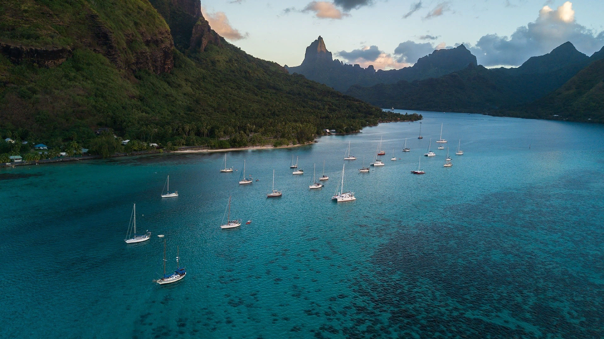 Moorea французская Полинезия