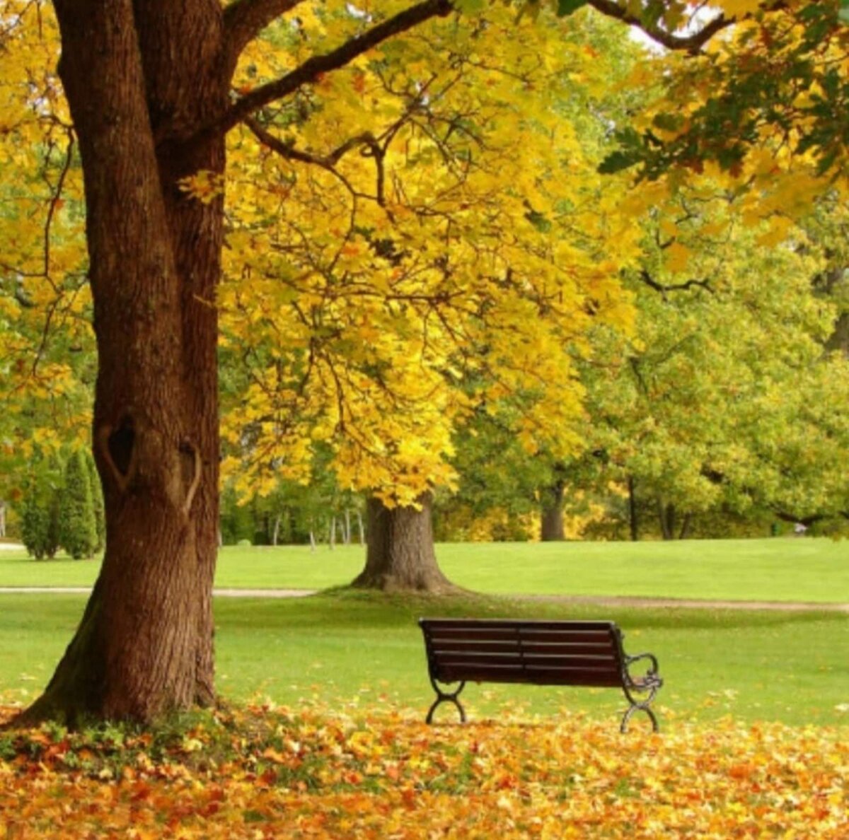 изображение взято из интернет источников