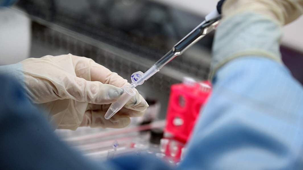 Фото: ИЗВЕСТИЯ/Кристина Кормилицына