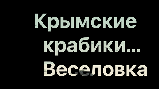 Автодом на песочном пляже и крымские крабы в Веселовке