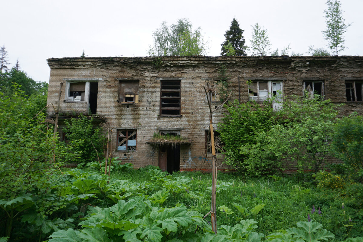 Наша попытка обустроить квартиру в мёртвом городе