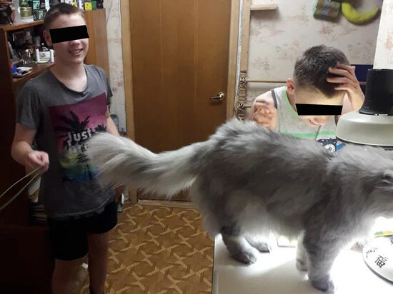     Паша и Миша Из личного архива