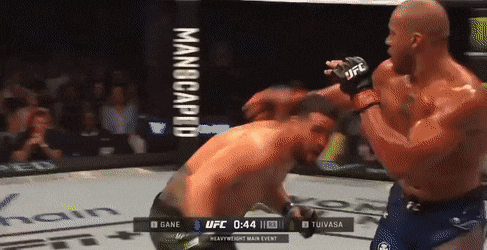 – Месть матадора.